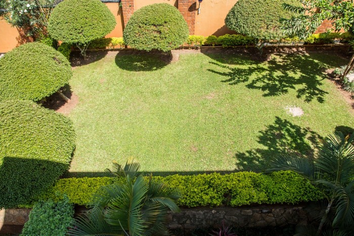 The greenery at Adonai Guesthouse in Muyenga, Kampala