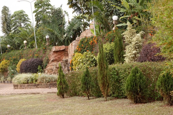 Part of the verdure at Lubowa Gardens