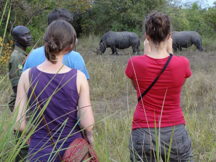 Tourists watching rhinos in one of Uganda's national parks